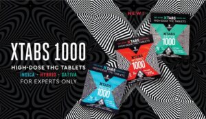 kikoko xtabs review kikoko xtabs review