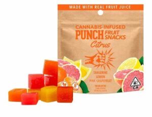 OIP (14) Citrus Fruit Snacks